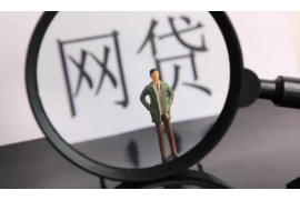 岱山岱山的要账公司在催收过程中的策略和技巧有哪些？